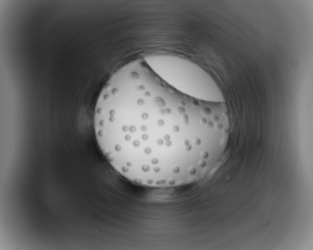X0000099520179200805151040