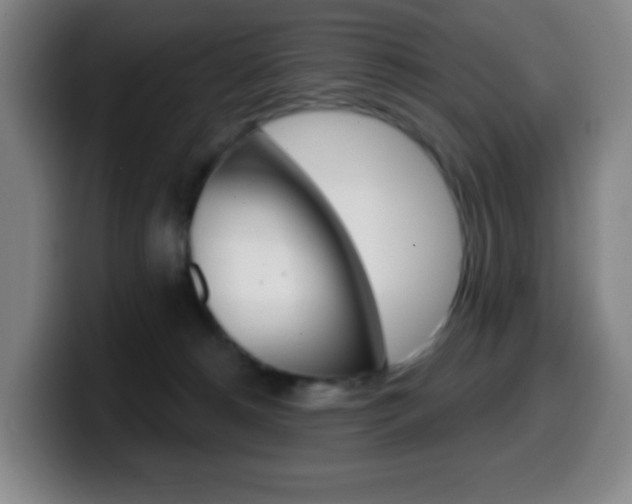 X0000099520180200805151040