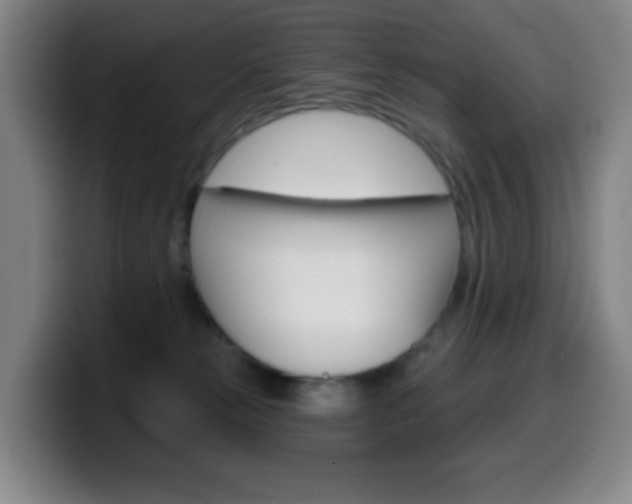 X0000099520181200805151040