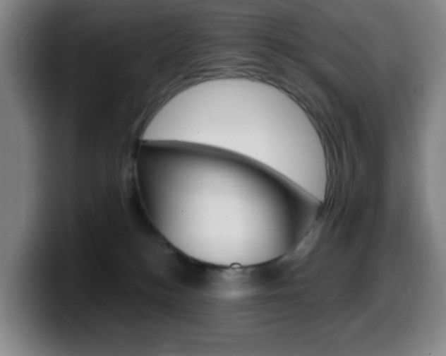 X0000099520184200805151040