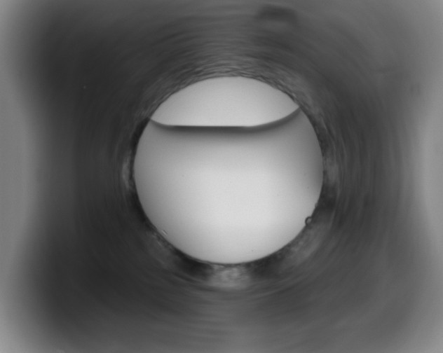X0000099520185200805151040