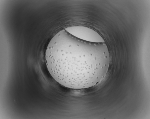 X0000099520187200805151040