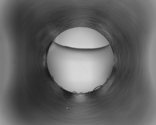 X0000099520189200805151040