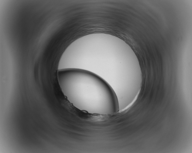 X0000099520190200805151040