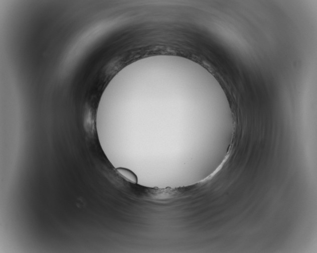 X0000099520191200805151040