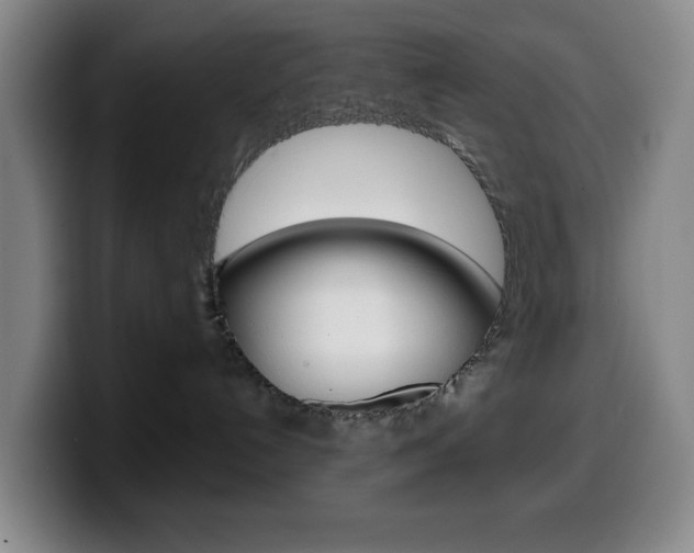X0000099520192200805151040