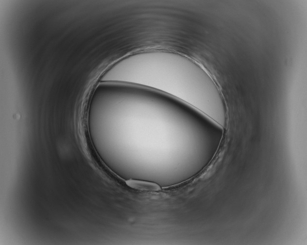 X0000099520193200805151039
