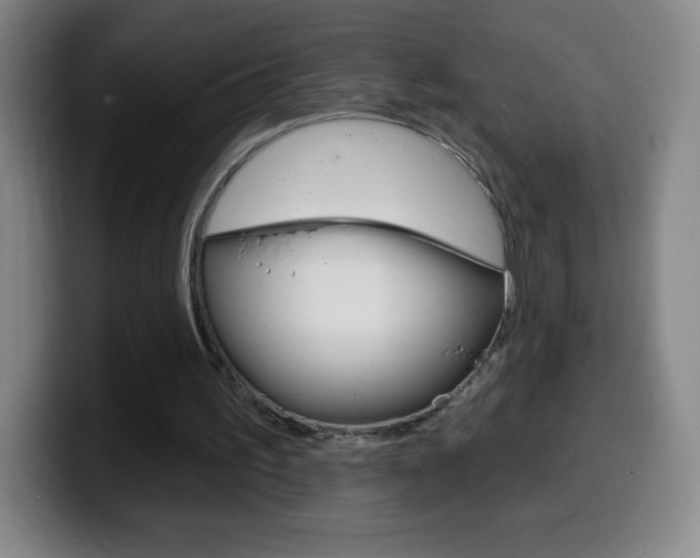 X0000099520195200805151039