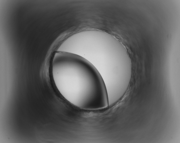 X0000099520197200805151039