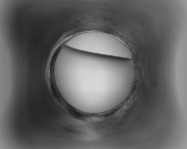 X0000099520198200805151039