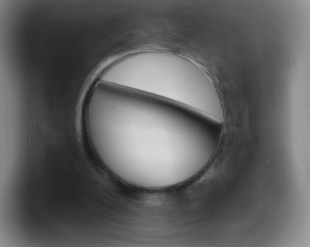 X0000099520200200805151039