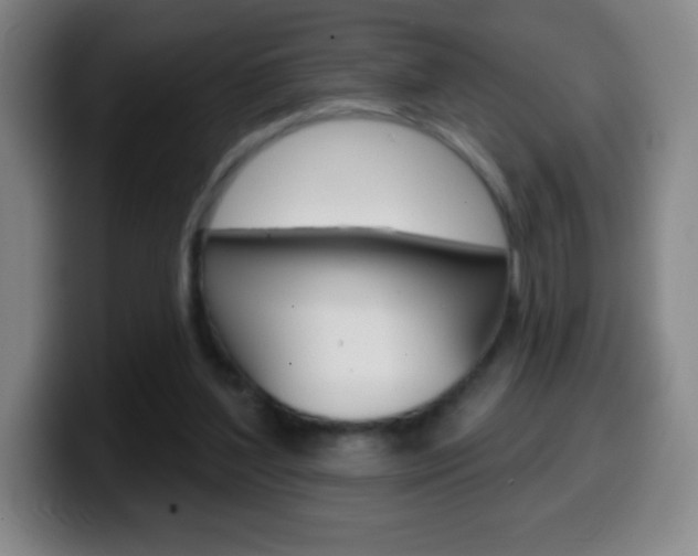 X0000099520204200805151039