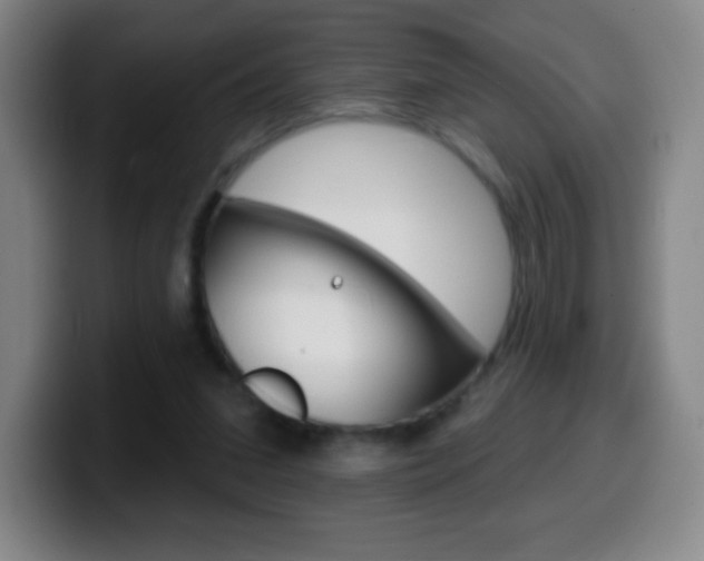 X0000099520207200805151039