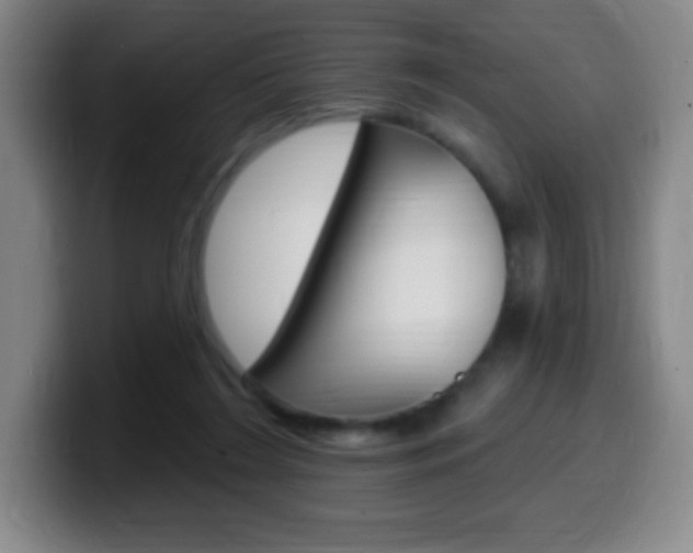 X0000099520212200805151039