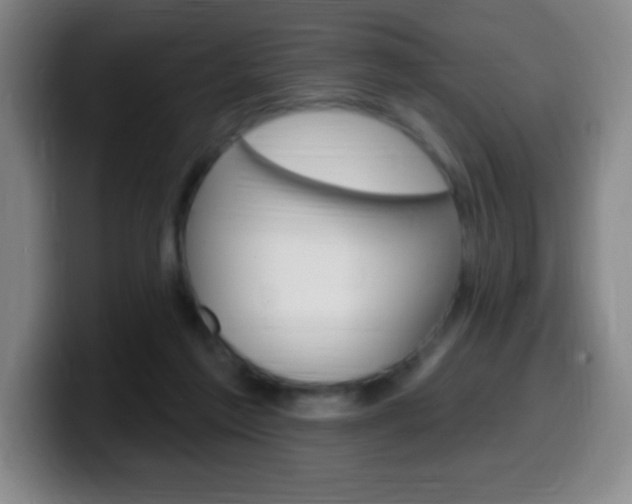 X0000099520213200805151039