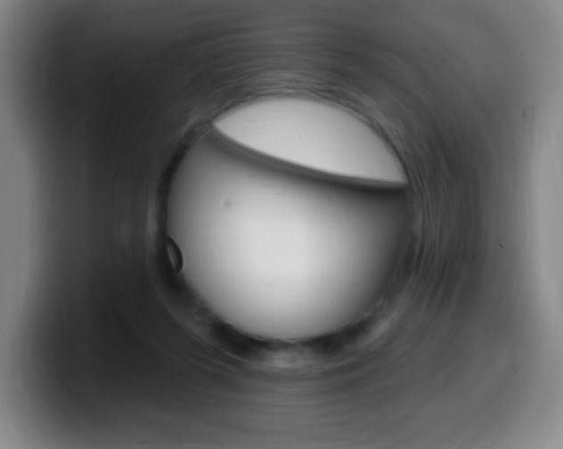 X0000099520215200805151039