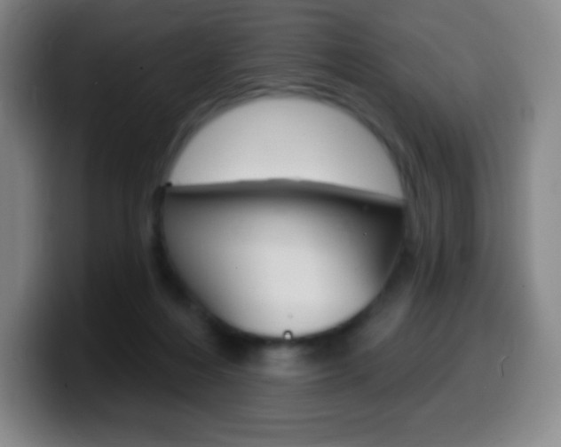 X0000099520216200805151039