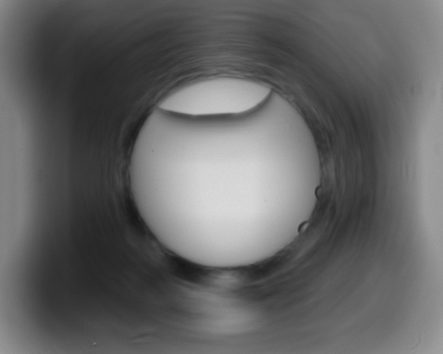 X0000099520218200805151039