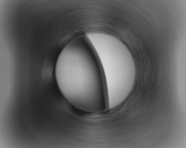 X0000099520219200805151039