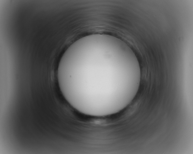 X0000099520220200805151039