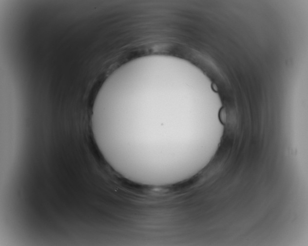 X0000099520222200805151039