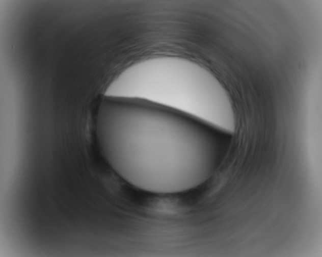 X0000099520223200805151039