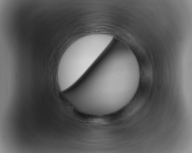 X0000099520224200805151039