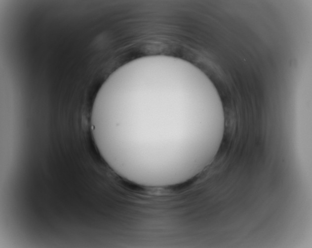 X0000099520226200805151039