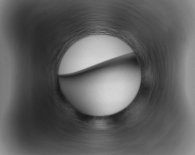 X0000099520228200805151039