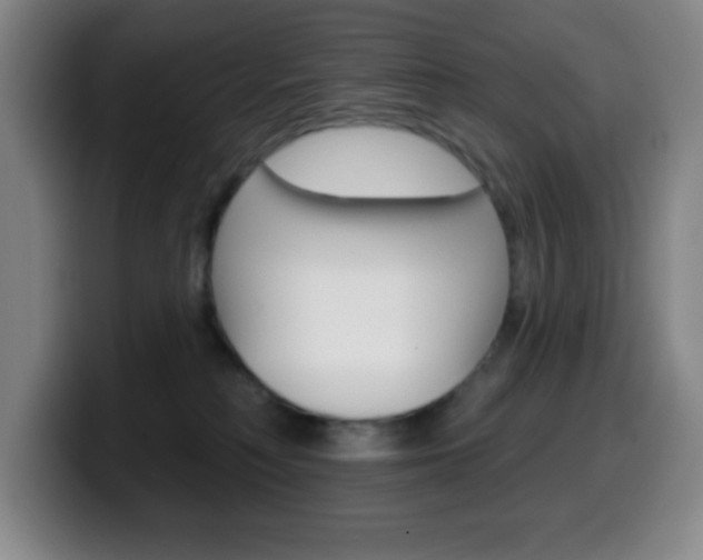 X0000099520230200805151039