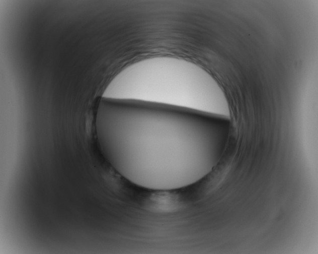 X0000099520231200805151039