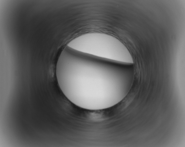X0000099520232200805151039