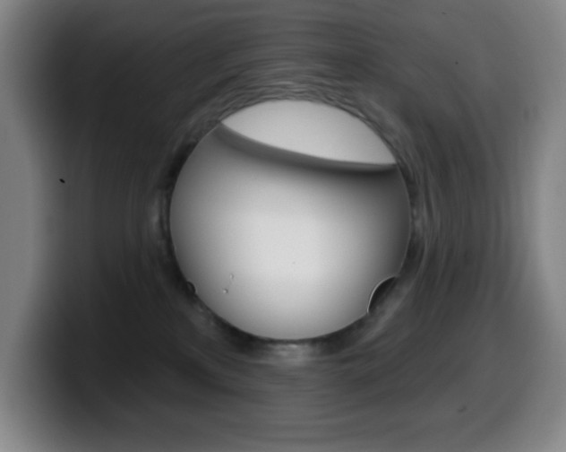 X0000099520233200805151039