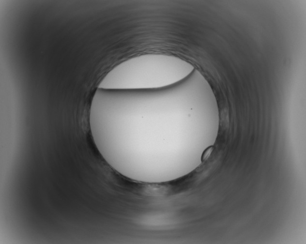 X0000099520234200805151039