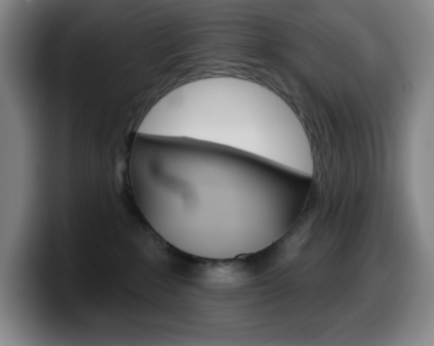 X0000099520235200805151039
