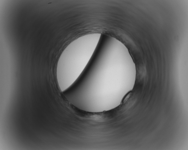X0000099520236200805151039