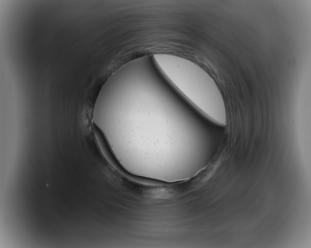 X0000099520237200805151039