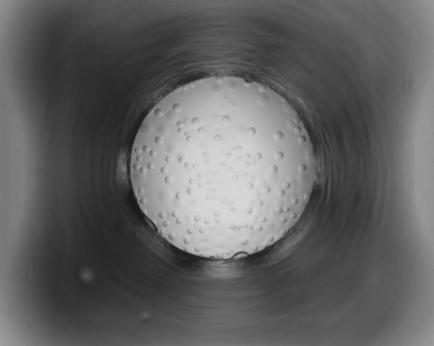 X0000099520238200805151039