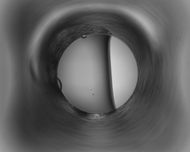 X0000099520239200805151039