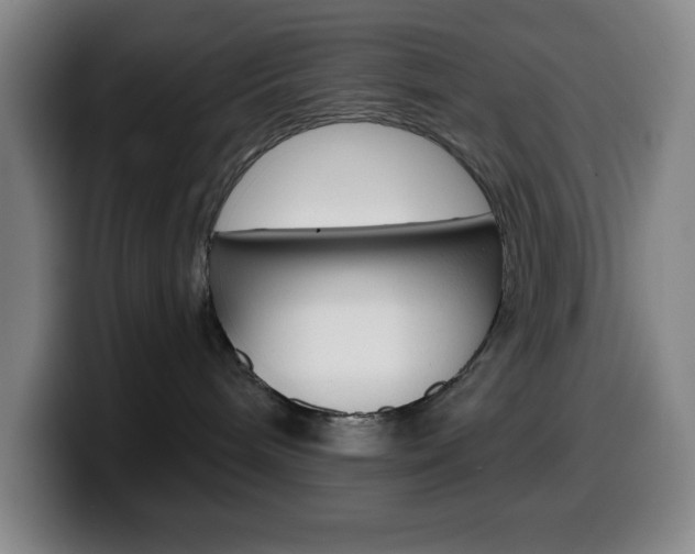 X0000099520240200805151039
