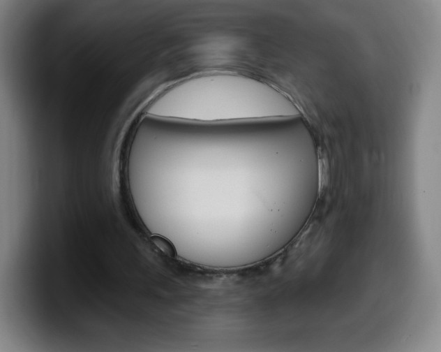 X0000099520243200805151038