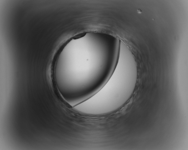 X0000099520244200805151038