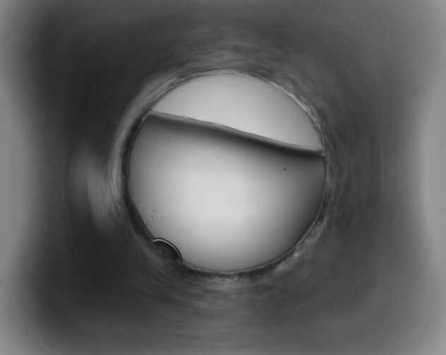 X0000099520245200805151038