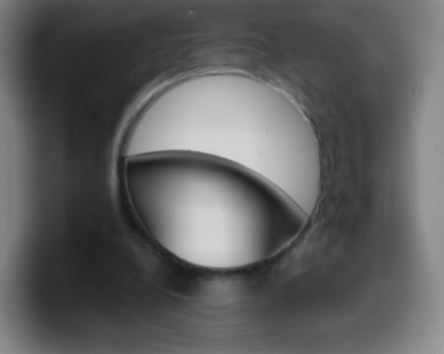 X0000099520248200805151038