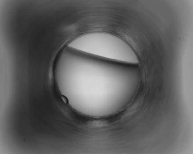 X0000099520251200805151038
