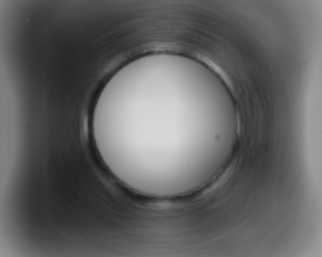 X0000099520253200805151038