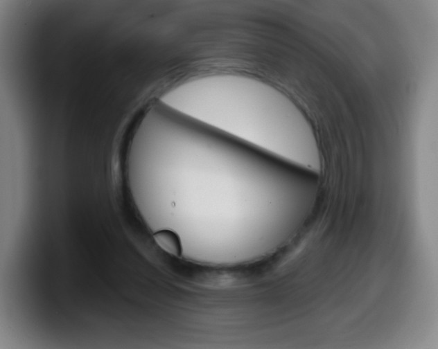 X0000099520254200805151038
