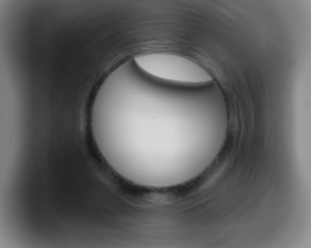 X0000099520255200805151038