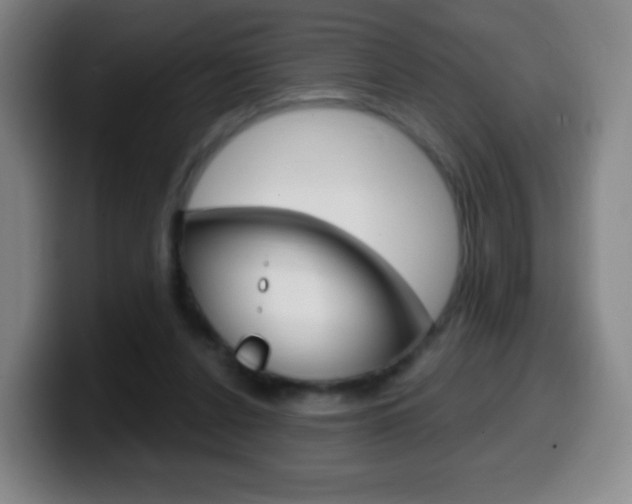 X0000099520256200805151038