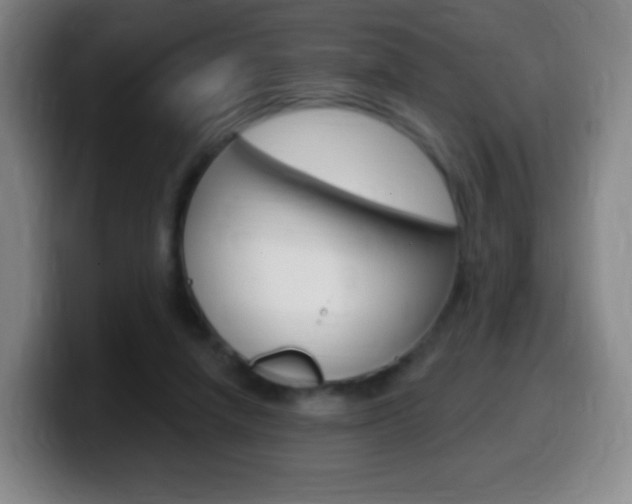 X0000099520258200805151038